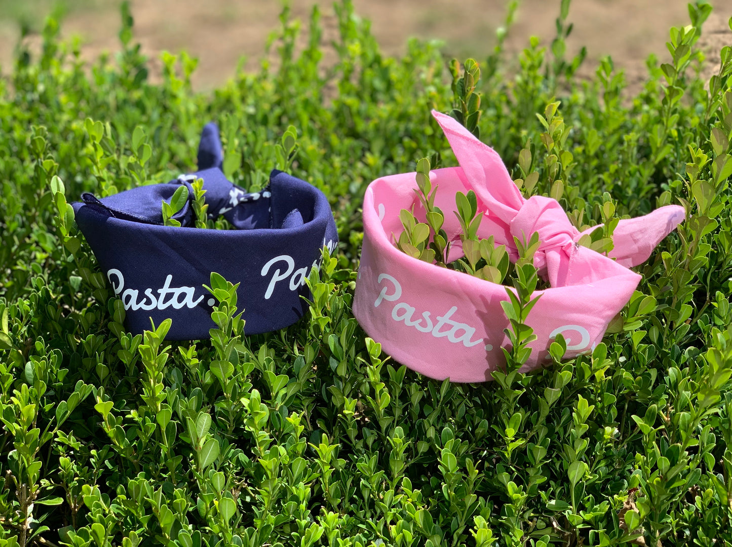 Pasta Bandana